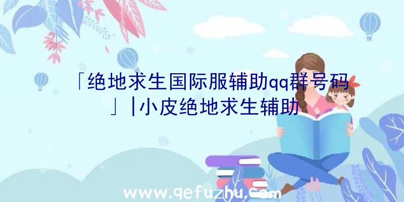 「绝地求生国际服辅助qq群号码」|小皮绝地求生辅助